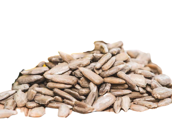 SunFlower Seeds (White) 50g